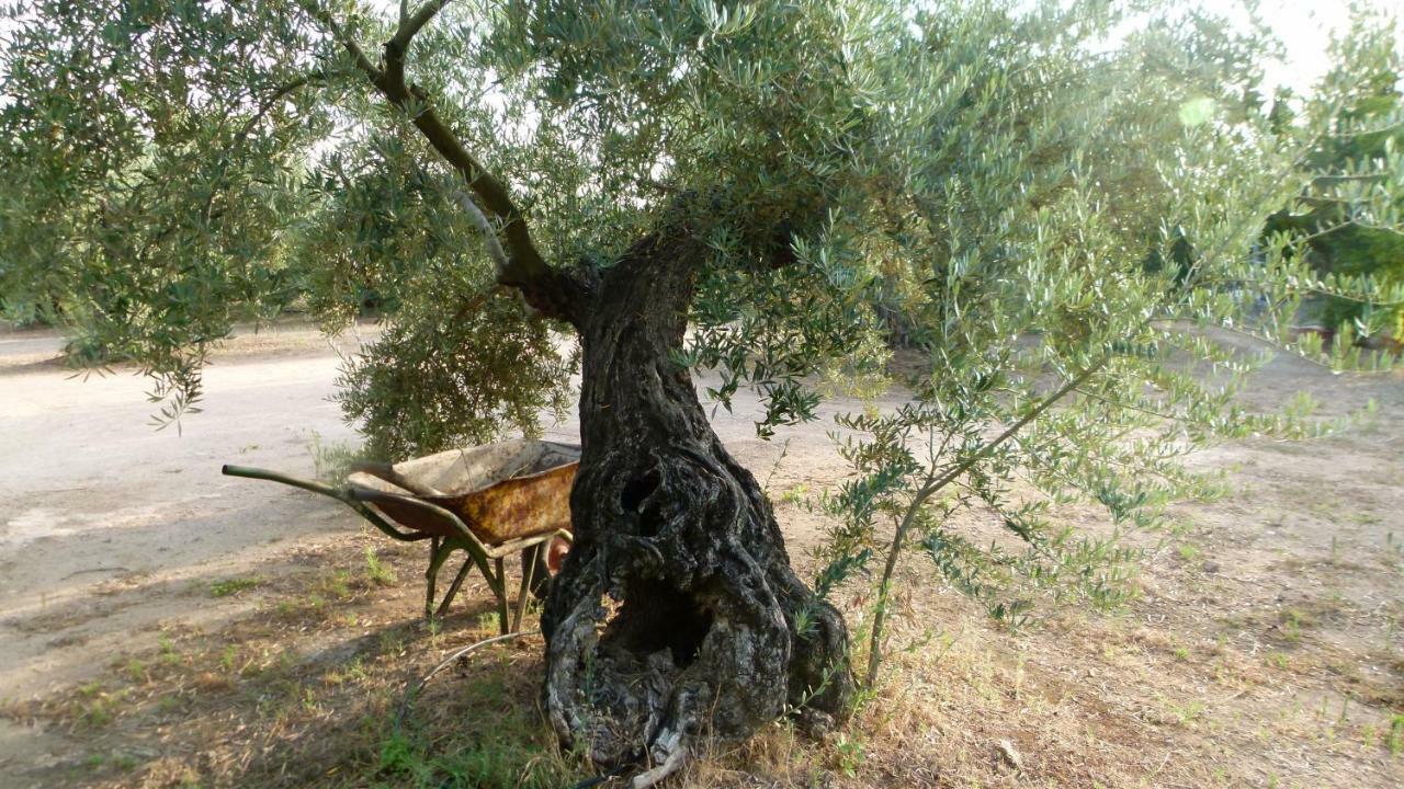 Penzion La Aragonesa Marmolejo Exteriér fotografie